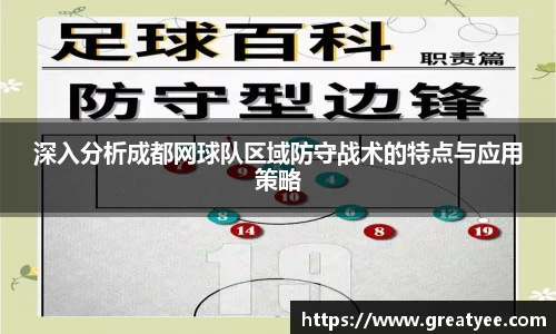 深入分析成都网球队区域防守战术的特点与应用策略