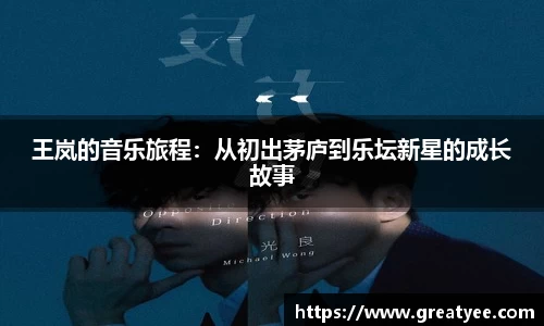 王岚的音乐旅程：从初出茅庐到乐坛新星的成长故事