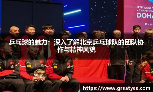 乒乓球的魅力：深入了解北京乒乓球队的团队协作与精神风貌